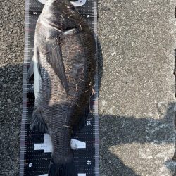 イチノ兄弟、釣果!