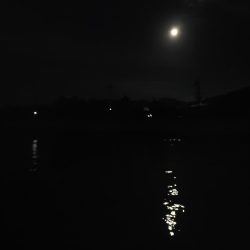 エギングとジグ単