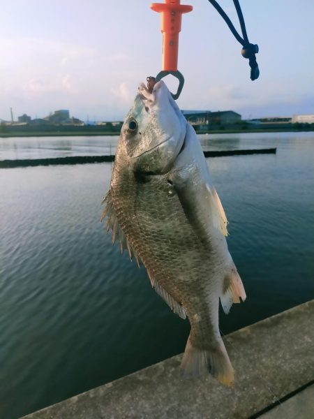 自作の竿でトップ