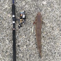 ドン!ときました!