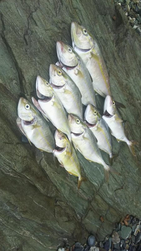 遠投マウスの実力