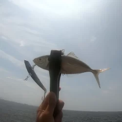 夢洲スリットへライトショアジギング