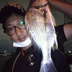 青虫投下してみました