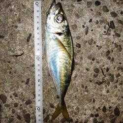 まだまだ厳しく