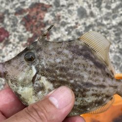 大津川尻でのんびり