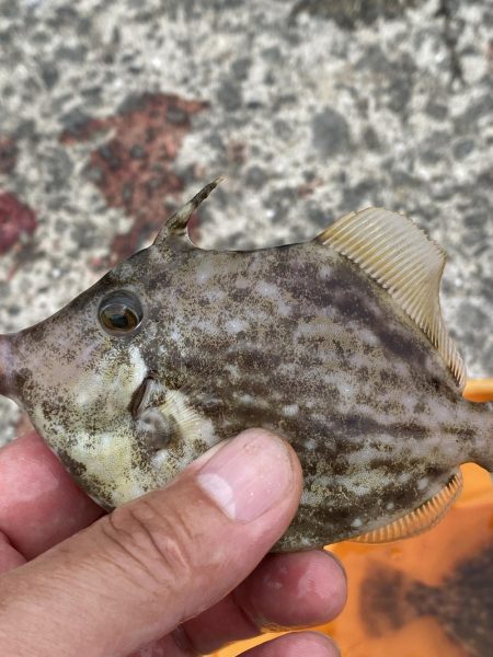 大津川尻でのんびり