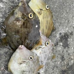 爆釣のファミリーフィッシング　