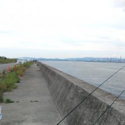 太刀魚リベンジ戦