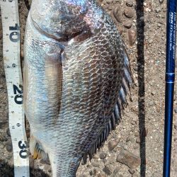 ぶら船下調査！！