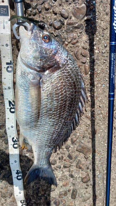 ぶら船下調査！！