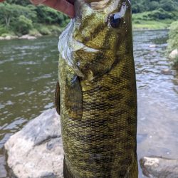 朝イチ トップ勝負