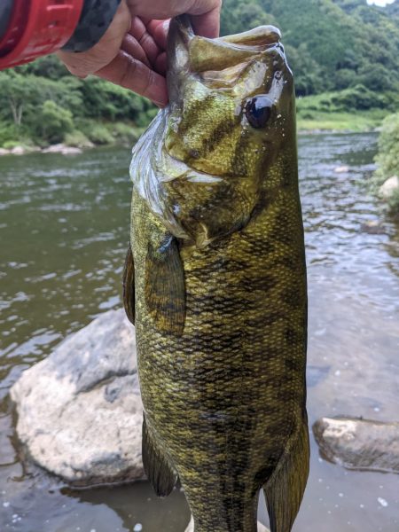 朝イチ トップ勝負