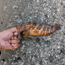 まだまだ完全復旧は時間がかかりそうですね