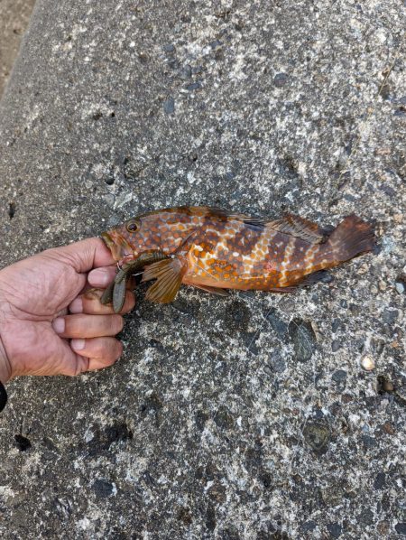 まだまだ完全復旧は時間がかかりそうですね