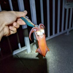 第一回雰囲気あります