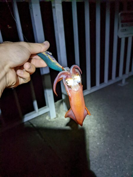 第一回雰囲気あります