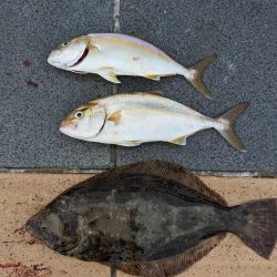 タチウオ後ショアジギ