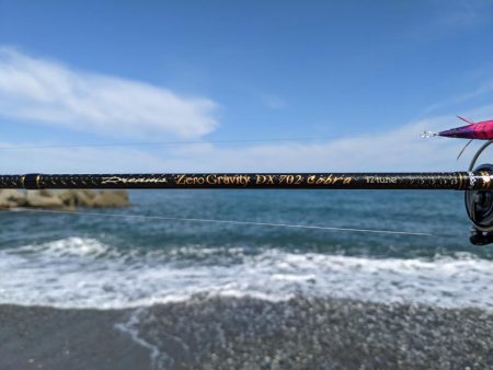 newロッド墨付け！