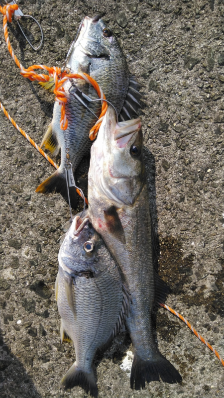 低酸素で食い気がないなぁ