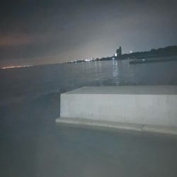 エギング、アジング