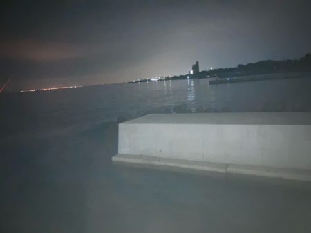 エギング、アジング