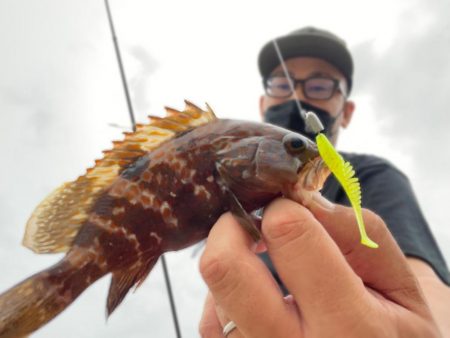 湾奥ライトゲーム！