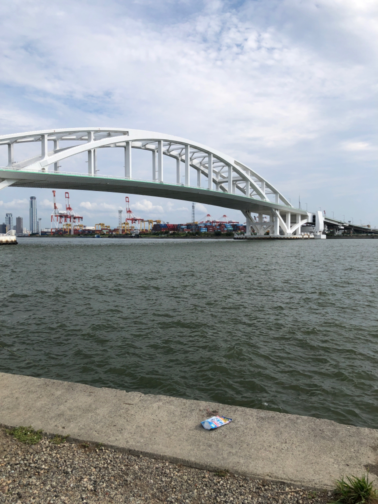 ジグサビキ で豆アジ、小サバ入れ食い