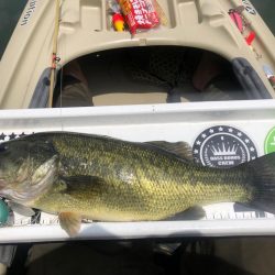 カヤック２回目！