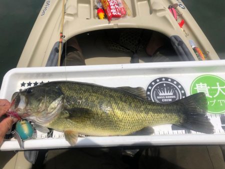 カヤック２回目！