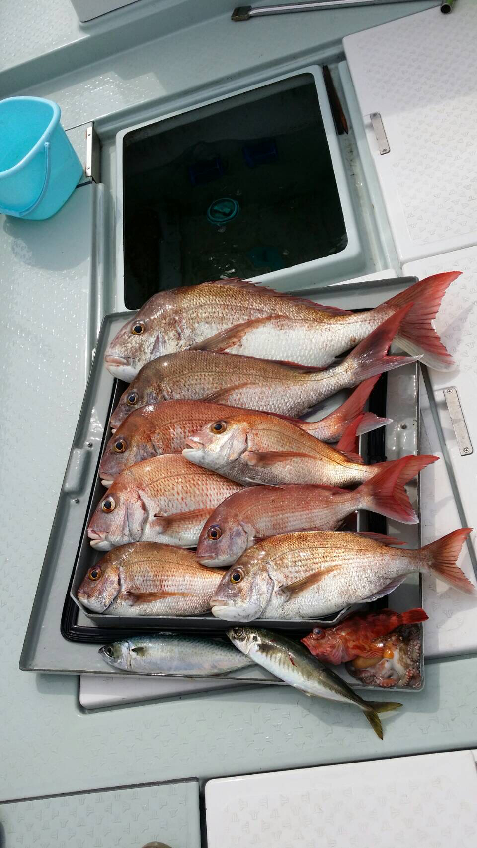 船でのモンスターハンターに挑戦！