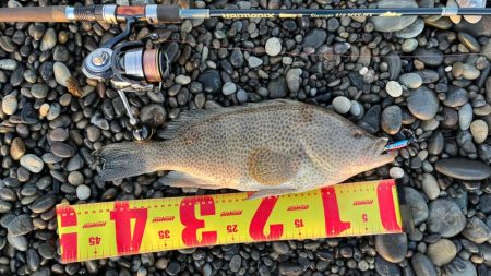 サーフでまさかの‥