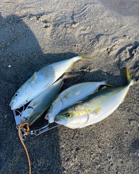 遠州サーフ青物好調‼︎