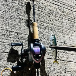 新しいリールの鱗付け