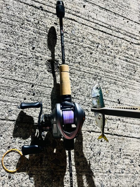 新しいリールの鱗付け