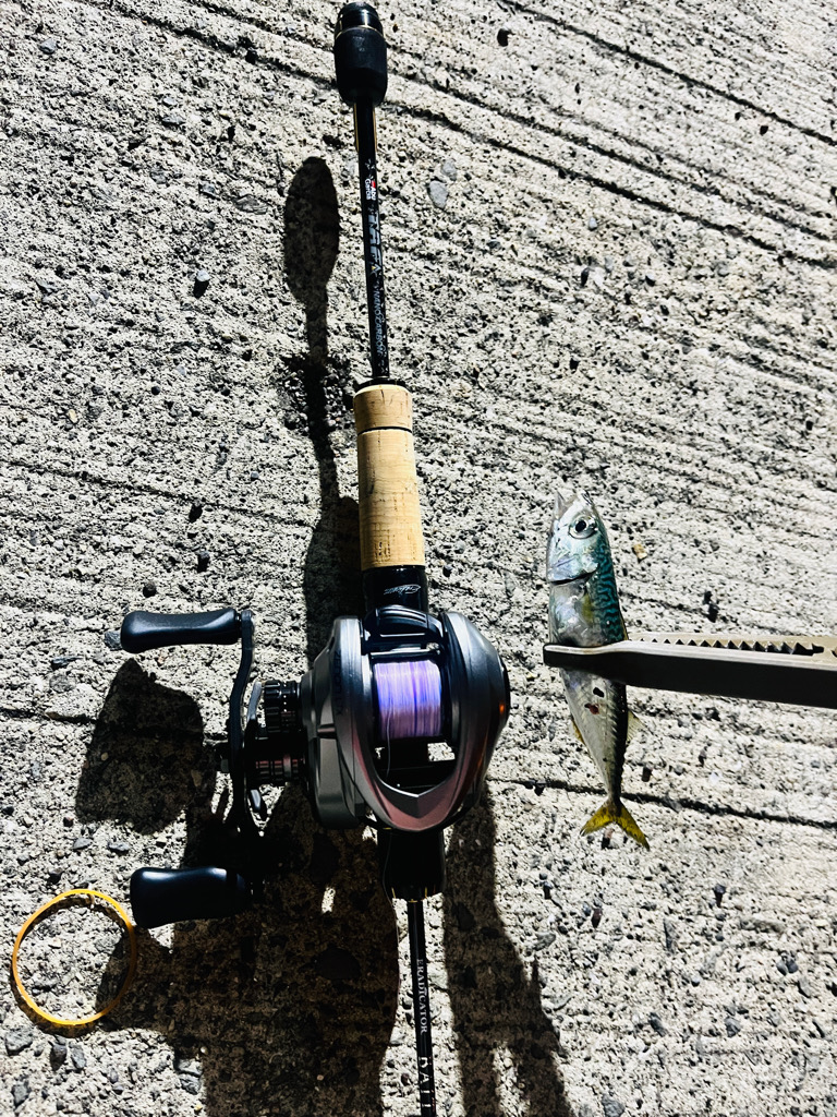 新しいリールの鱗付け