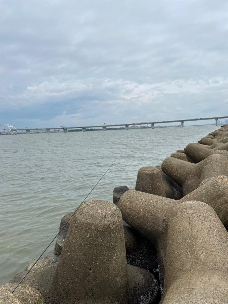 デイゲーム ３魚種制覇！