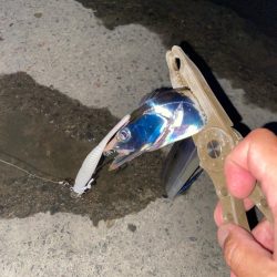 太刀魚シーズン開幕