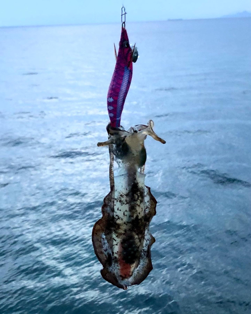 コロッケあがりました