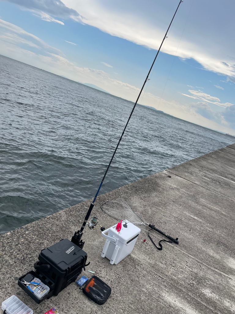 初めてのタコ🐙