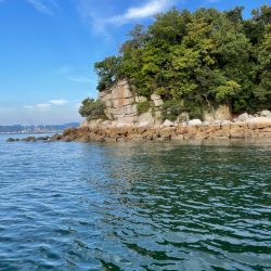 宮島のチヌ釣り