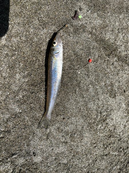 釣りキャンプ旅