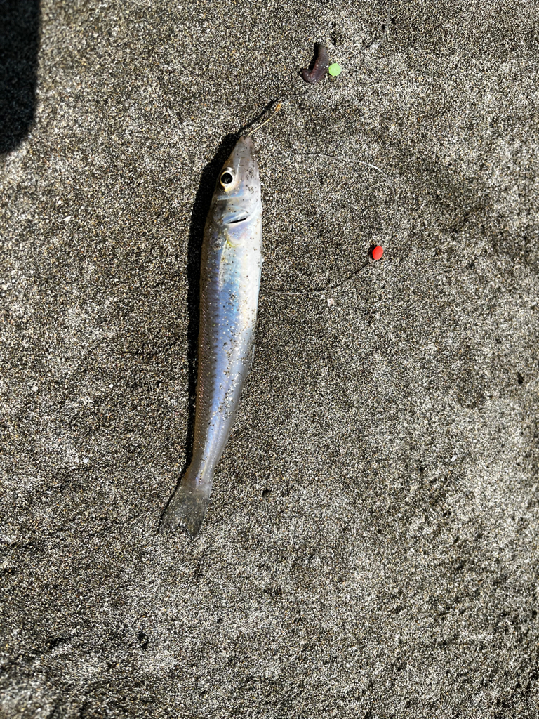 釣りキャンプ旅