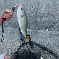 貝塚　ショアジギ