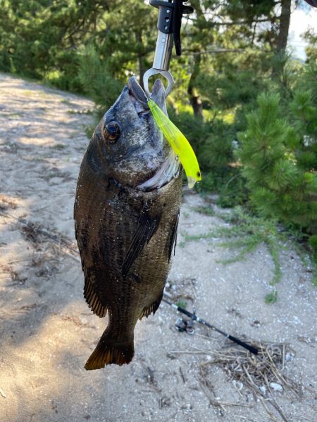 トップチニング！！