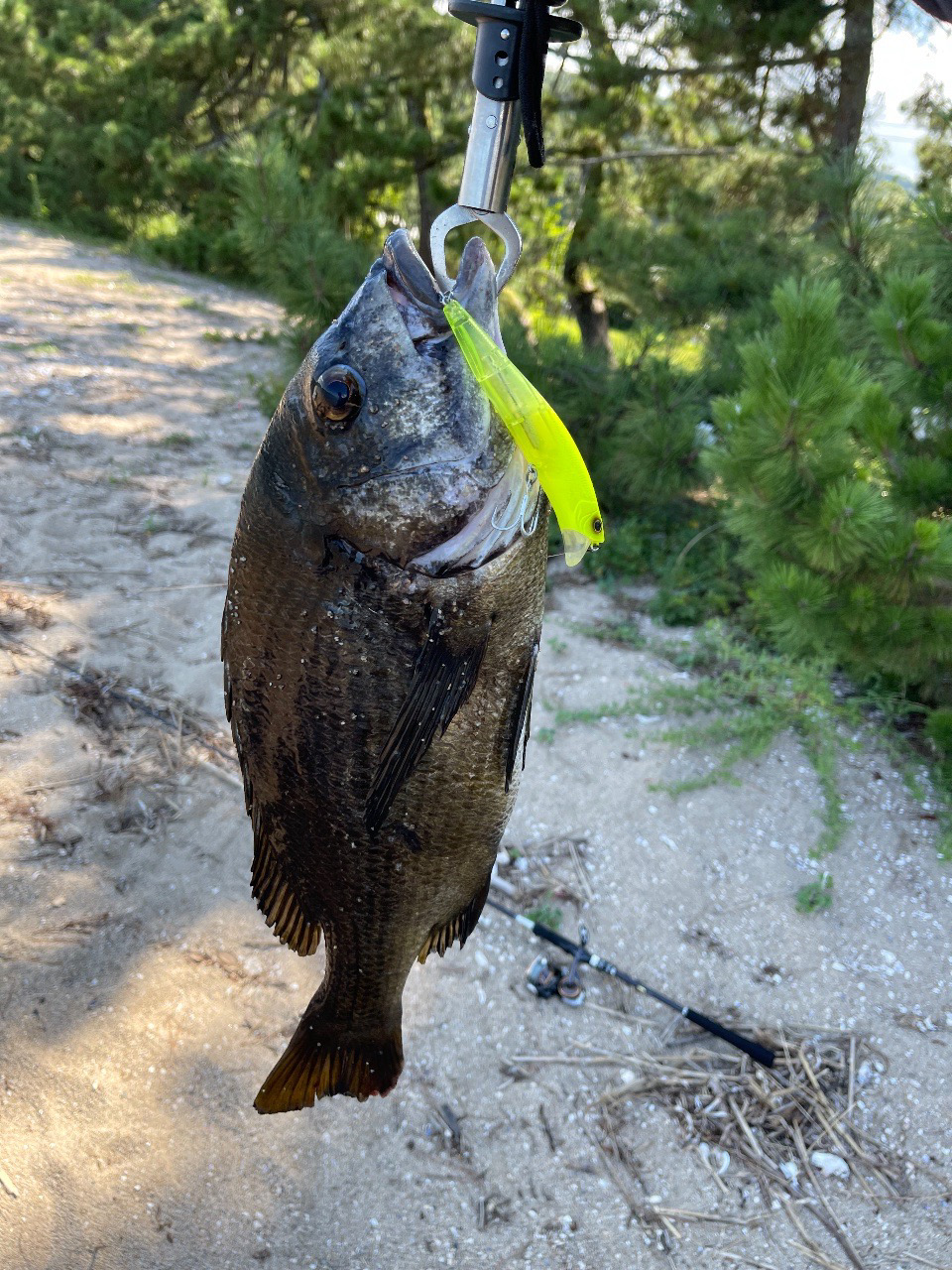 トップチニング!!