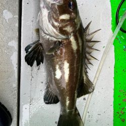 銚子沖、根魚五目