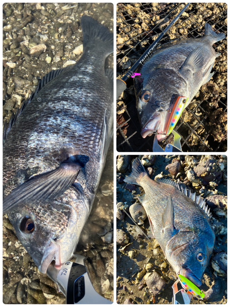 ランガントップチニング