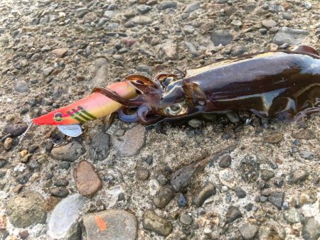 渋くてもスクイッドジャンキーなら…にゃ！