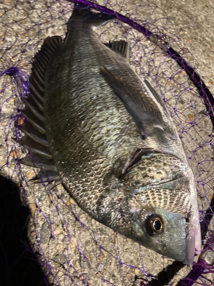 ライトゲームしてたら