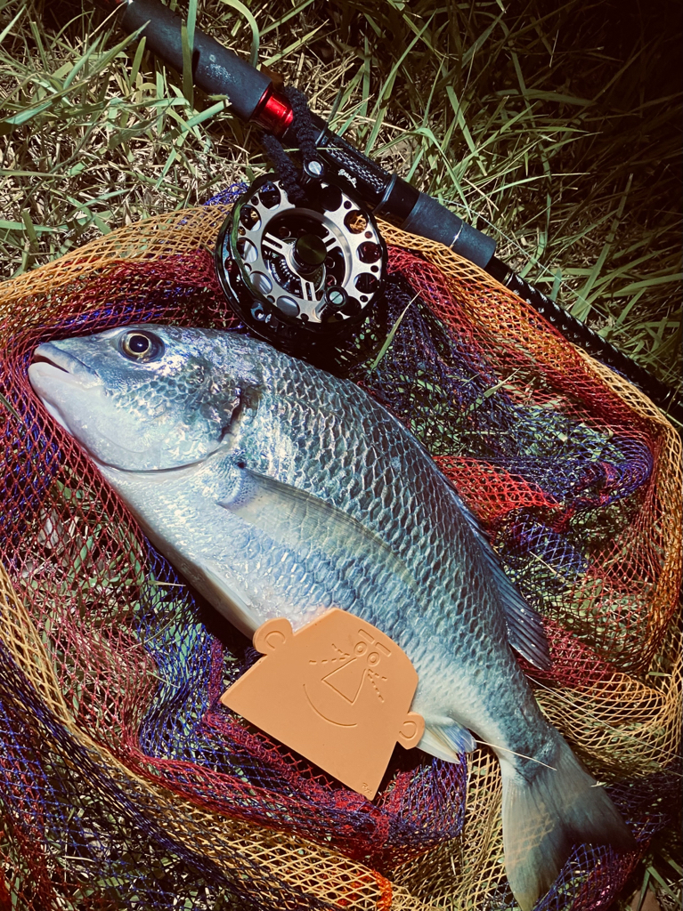 ヘチってきました